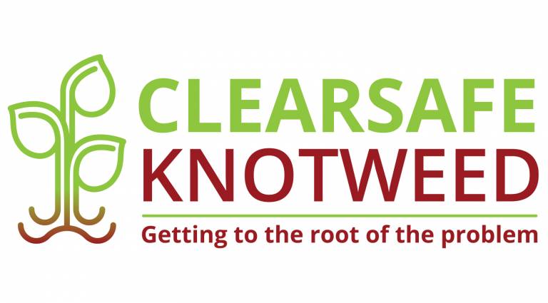 Services-Logo-Clearsafe.jpg